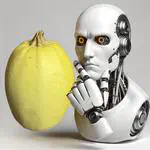 Squashed Expectations: The Intriguing Saga of Classifying Produce with Machine Learning